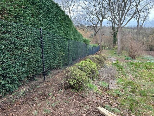 Chain-link fence in Cumnor